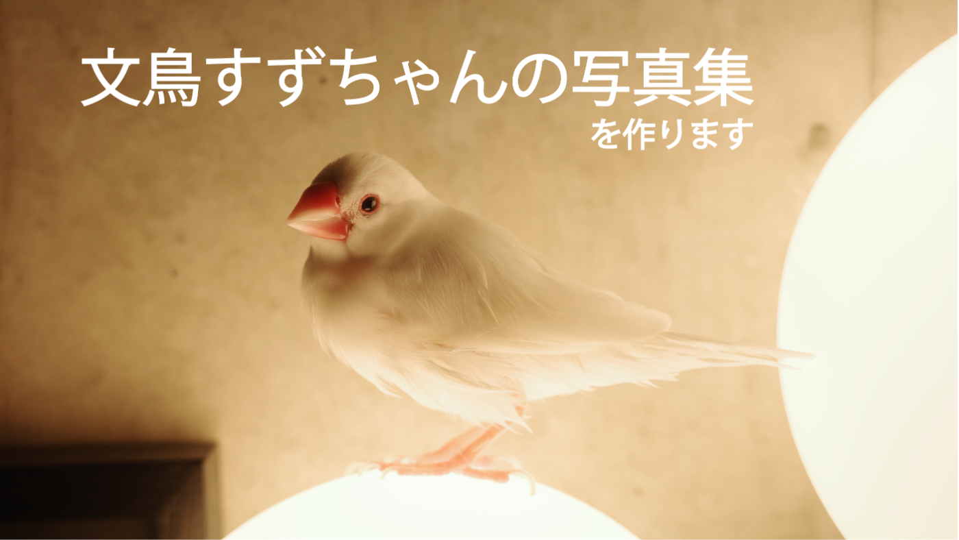 文鳥すずちゃんの写真集を作ります